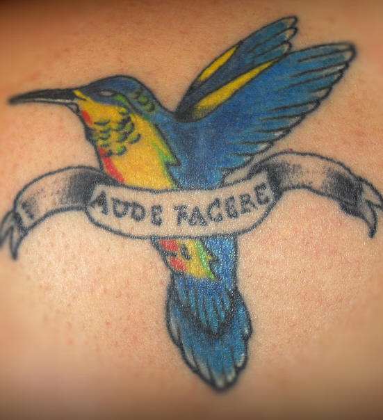 背部彩色拉丁文字与蜂鸟纹身图片