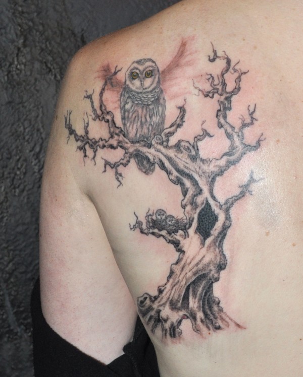 树上的猫头鹰肩部黑灰纹身图案