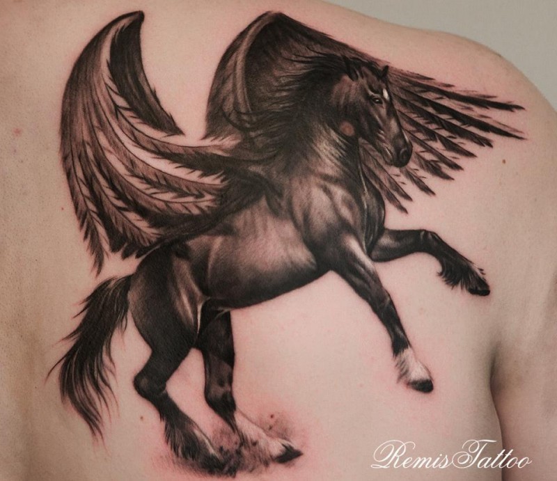 肩部棕色可爱的飞马纹身图案