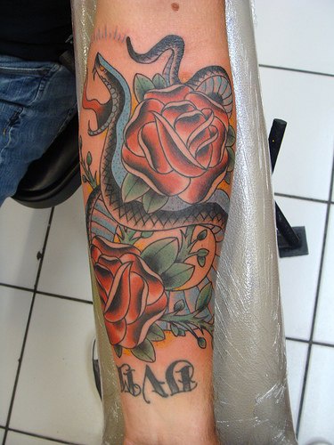 手臂彩色蛇和红玫瑰纹身图片