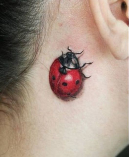 女性耳朵后根红瓢虫纹身图案