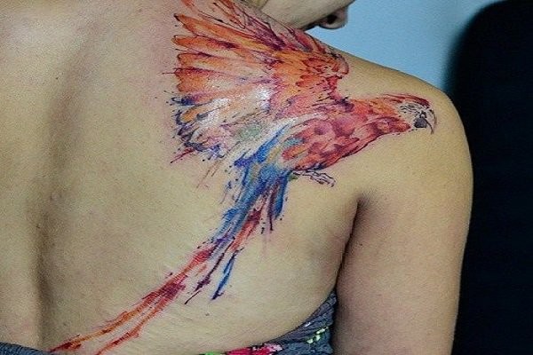 肩部奇妙的水彩色鹦鹉纹身图案