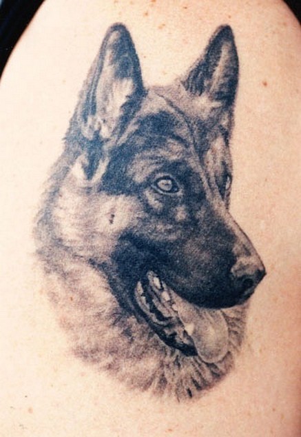 肩部黑灰逼真的德国牧羊犬纹身图案