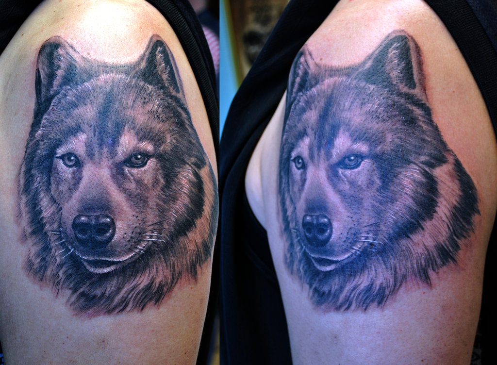 肩部黑棕色狼头Wolf tattoo纹身图案