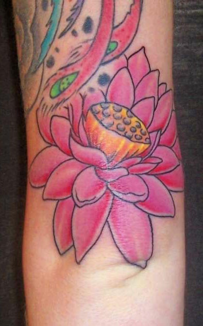 女性手臂彩色粉红莲花纹身图案