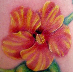肩部五颜六色的木槿花纹身图案