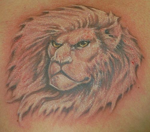 背部棕色愤怒的狮子头纹身图案