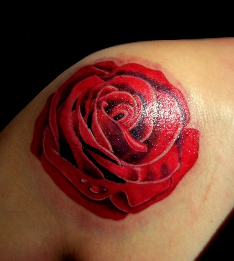 肩部彩色简单普通大玫瑰纹身图案