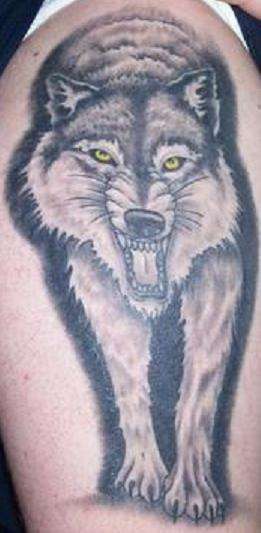肩部黑灰愤怒的狼纹身图案