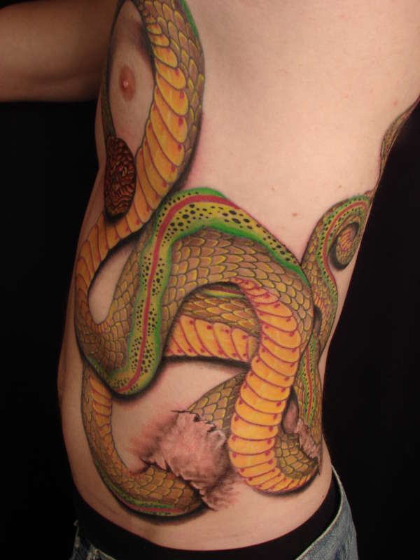 男性腰侧彩色大逼真的蛇纹身图案