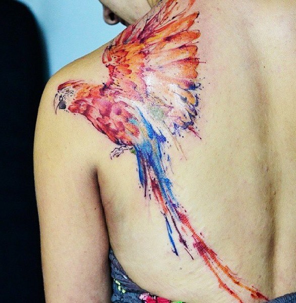 肩部彩色鲜艳的金刚鹦鹉纹身图案