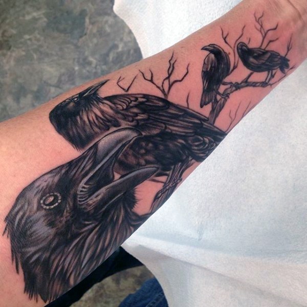 男性手臂黑灰逼真的乌鸦纹身图案