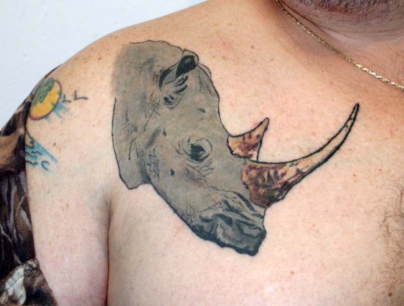 男性肩部卡通水犀牛纹身图案