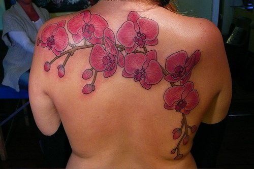 背部彩色一束粉红兰花纹身图案