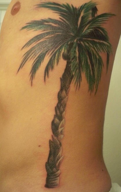 男性腰侧彩色逼真棕榈树纹身图案