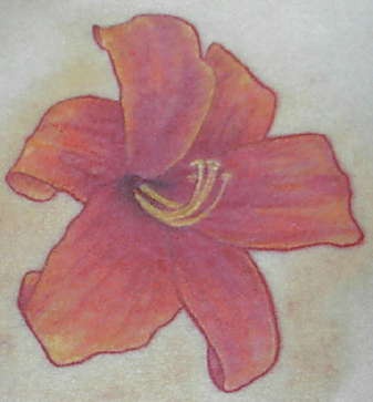 肩部彩色茂盛的红百合纹身图片