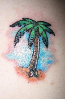 肩部彩色小棕榈树纹身图案