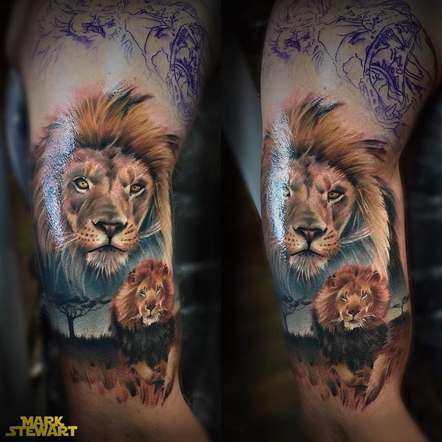 肩部彩色逼真的狮子纹身图片