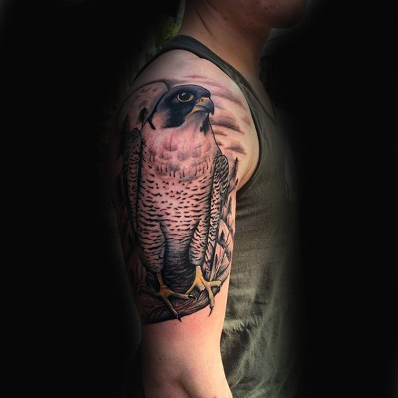 肩部逼真的自然彩色老鹰纹身图案