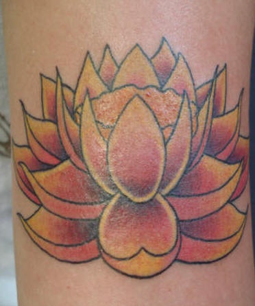 手臂彩色神圣的黄莲花纹身图案