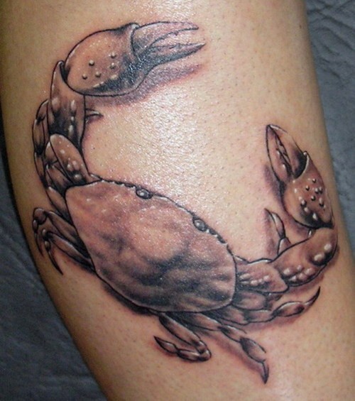腿部棕色墨水现实蟹纹身图案