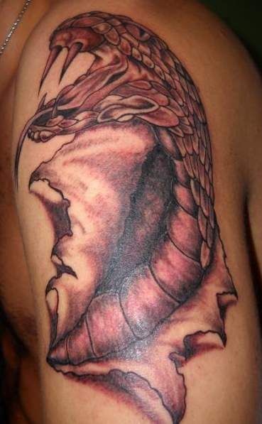 肩部棕色蛇爬出皮肤的纹身图案