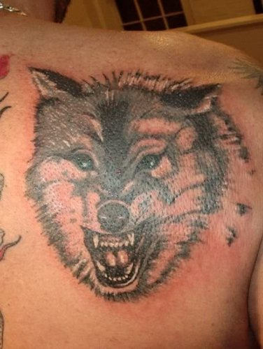 男性肩部黑灰狼头纹身图片