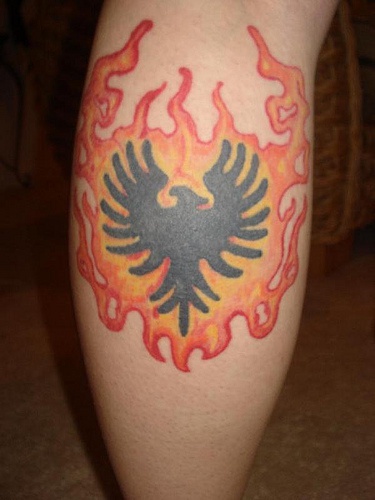 手臂彩色火焰中的凤凰符号纹身图片