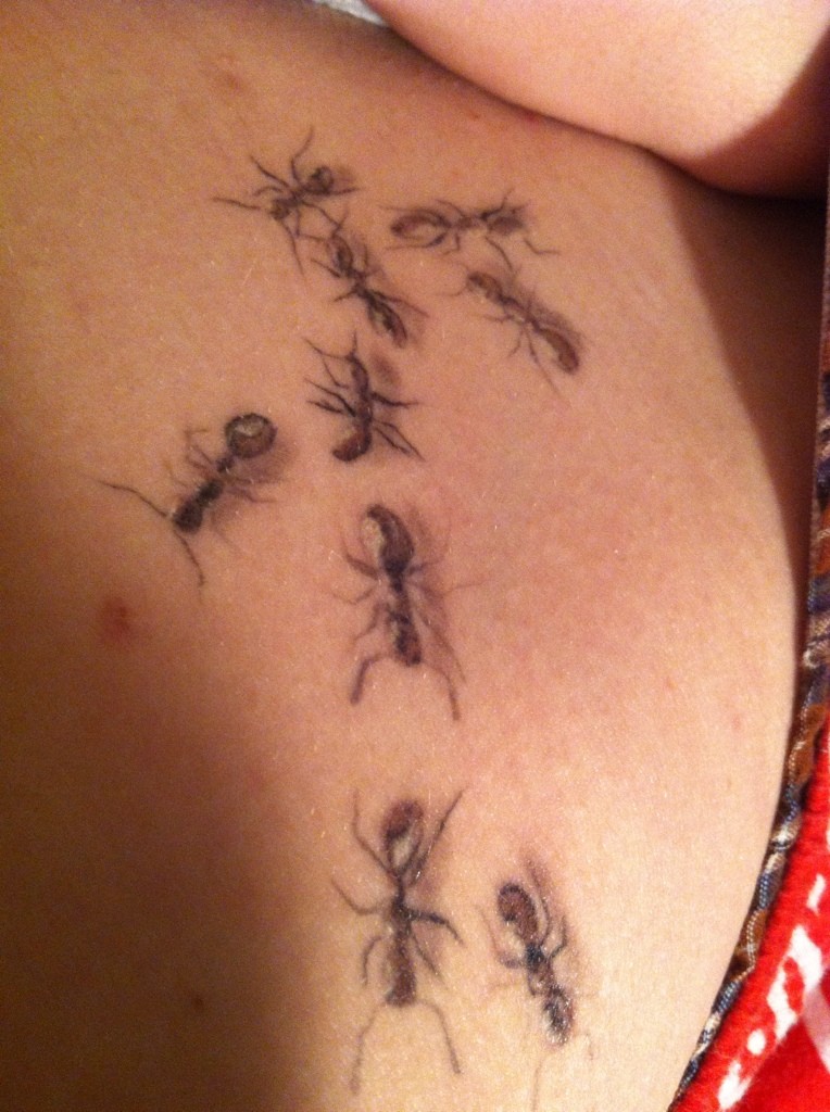 腹部黑灰逼真色蚂蚁群纹身图案