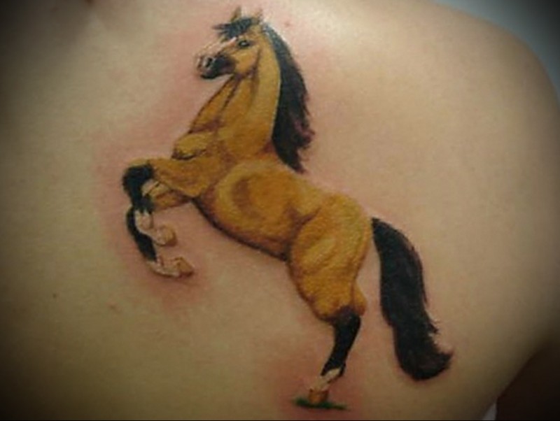 肩部彩色逼真的马纹身图案