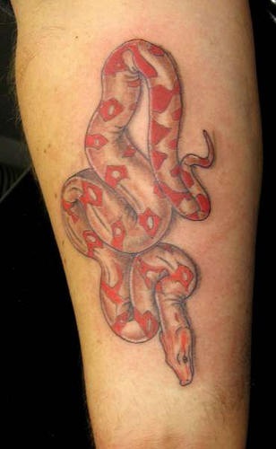 手臂彩色小逼真的红蛇纹身图案