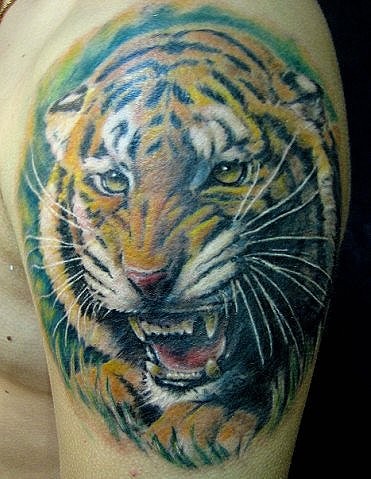 肩部彩色逼真愤怒的老虎纹身图案