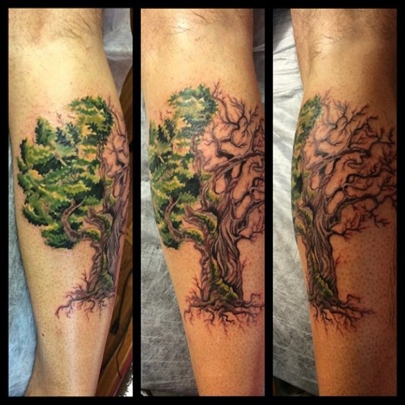 令人惊叹的彩色孤独树与叶子纹身图片