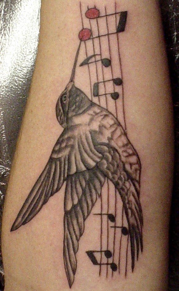 手臂灰色音符和蜂鸟纹身图案
