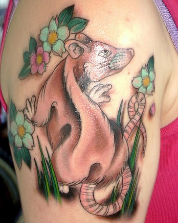 肩部彩色老鼠与花纹身图案