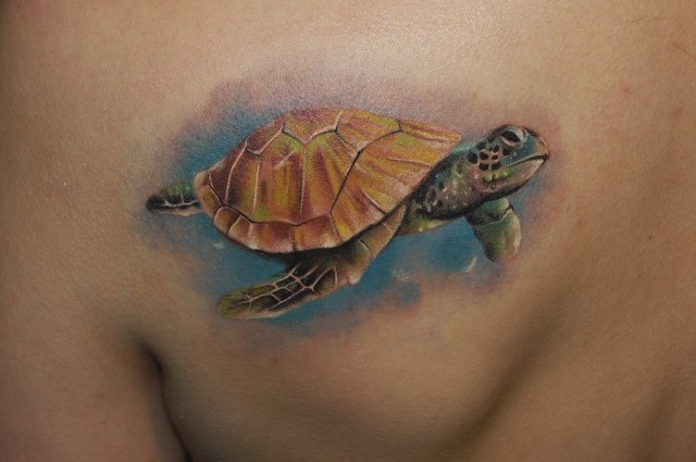 肩部水彩色逼真的龟纹身图案