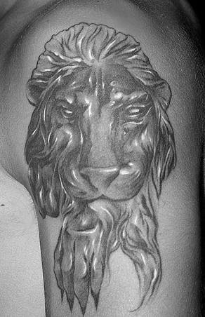 肩部灰色狮子舔爪子纹身图案