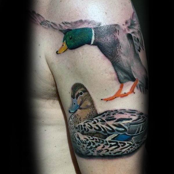 男性肩部彩色鸭子纹身图片