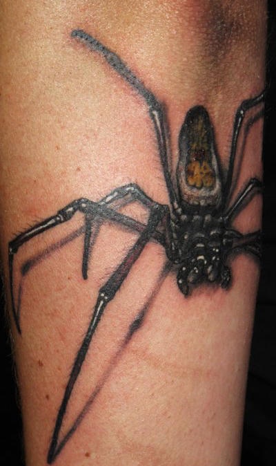 手臂写实现实恐怖蜘蛛纹身图案