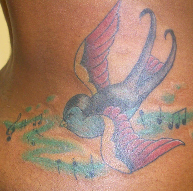 腰侧彩色五颜六色的燕子纹身图案