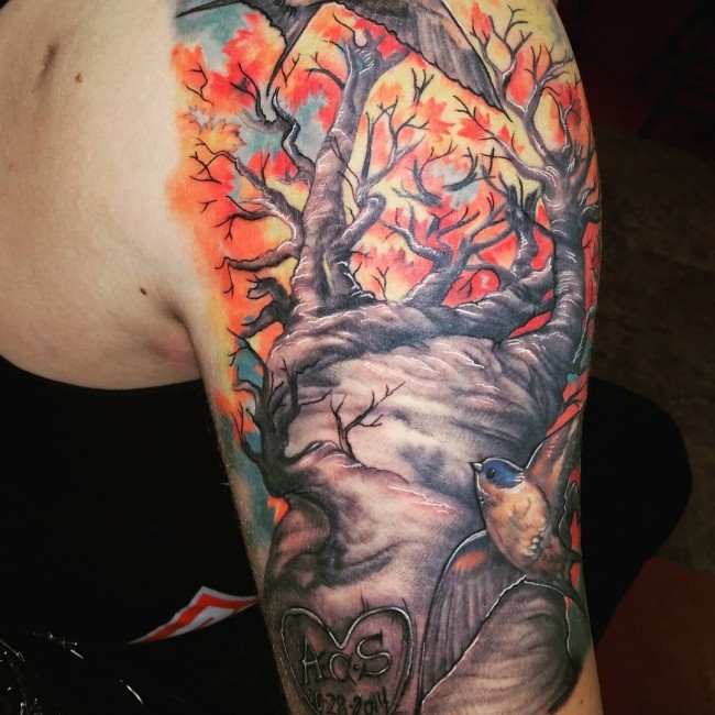 肩部奇妙的彩色孤独树和鸟儿纹身图片