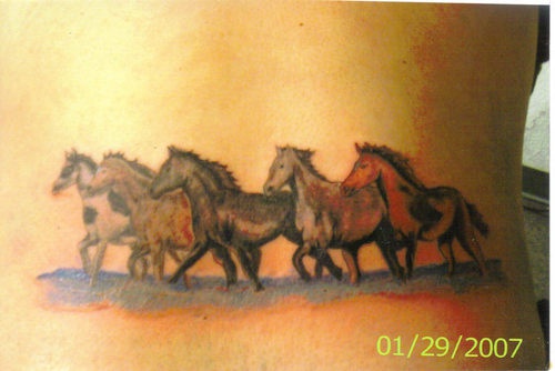 腰部彩色一群马的纹身图案