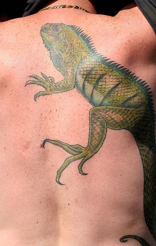 腰侧逼真的彩色蜥蜴纹身图案