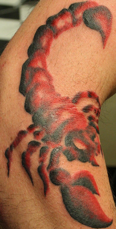 男性手臂彩色红蝎子纹身图案