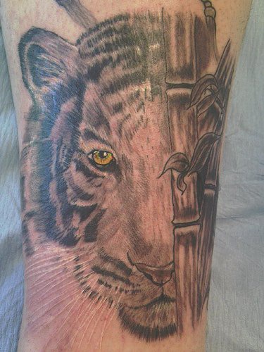 竹林中的老虎纹身图案