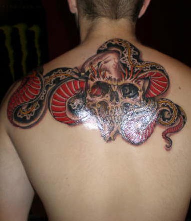 背部彩色蛇和骷髅纹身图案