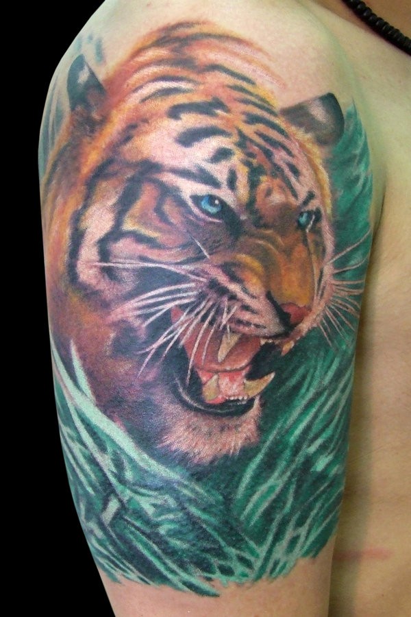 手臂彩色写实老虎纹身图案
