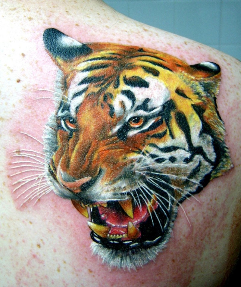 肩部彩色写实老虎纹身图案