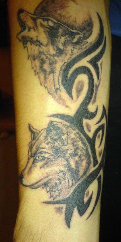 黑白狼和部落的纹身图案