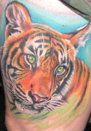彩色写实老虎纹身图片